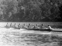 1949-NSW8