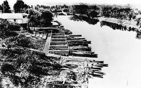 Looking east from the old Princes Bridge showing Edwards original boat shed on the left.