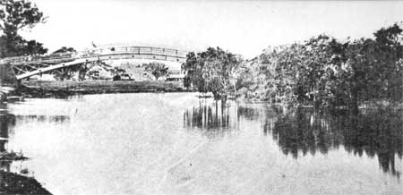 The Botanical Gardens Bridge at Anderson Street in about 1860