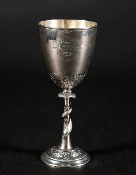 1869 Melbourne Regatta Cup