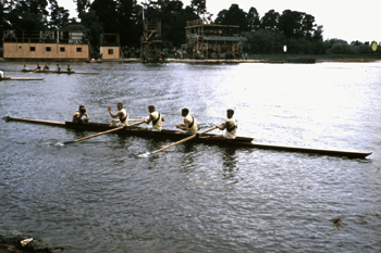 1956 Rainer M4Coxed SF2