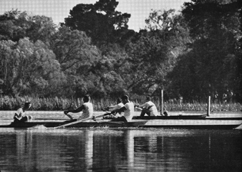 1956 Olympics Mcoxed2 Final