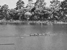 1956 Mcoxed4 Final