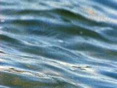 2004 Athens Olympic Games - Gallery 20