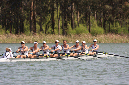 Adelaide men's eight