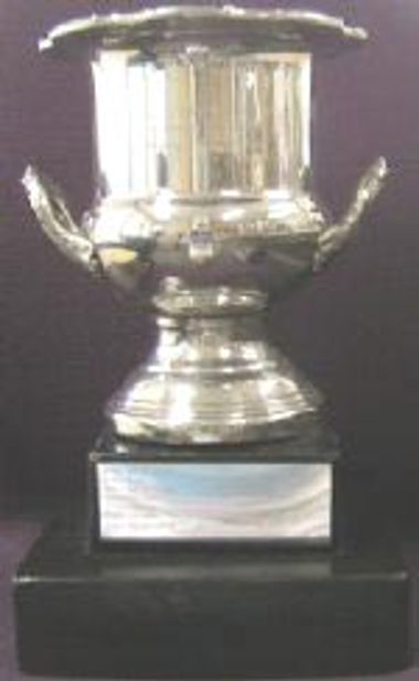 NSW Centenary Cup
