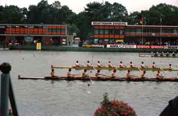 1983-ML8-2
