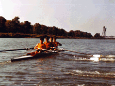 1984-ML4-training