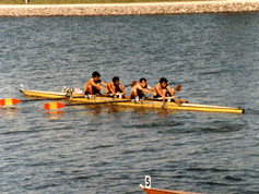 1984-Spanish-ML4