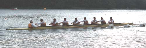 1987-ML8
