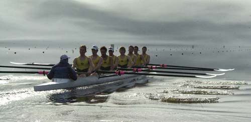 Men's Lightweight Eight