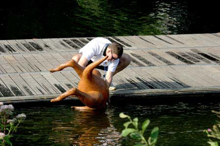 2006-HooperDunkingRoo